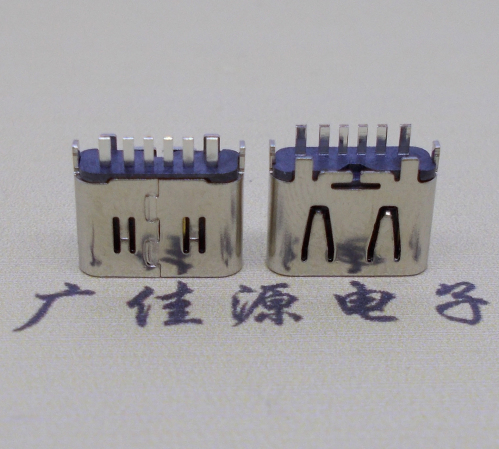 厚街镇Type-C6P母座立插H=6.25连接器
