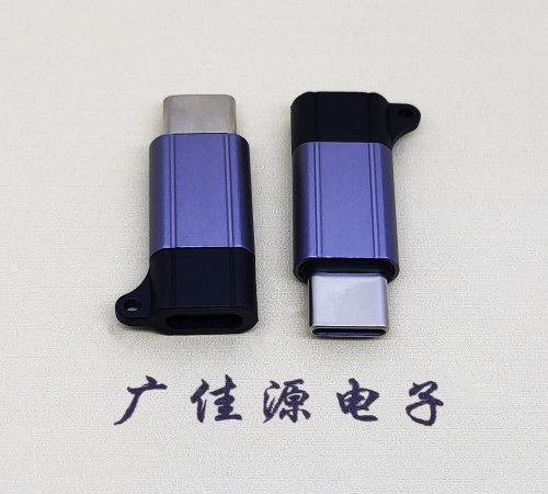 厚街镇Type-C母转Type-C公 USB3.1 PD100W快冲接口